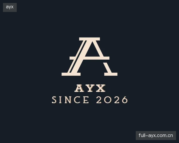 了解ayx团队